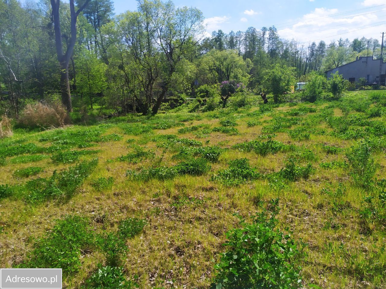 Działka budowlana Dąbrówka Mała. Zdjęcie 11