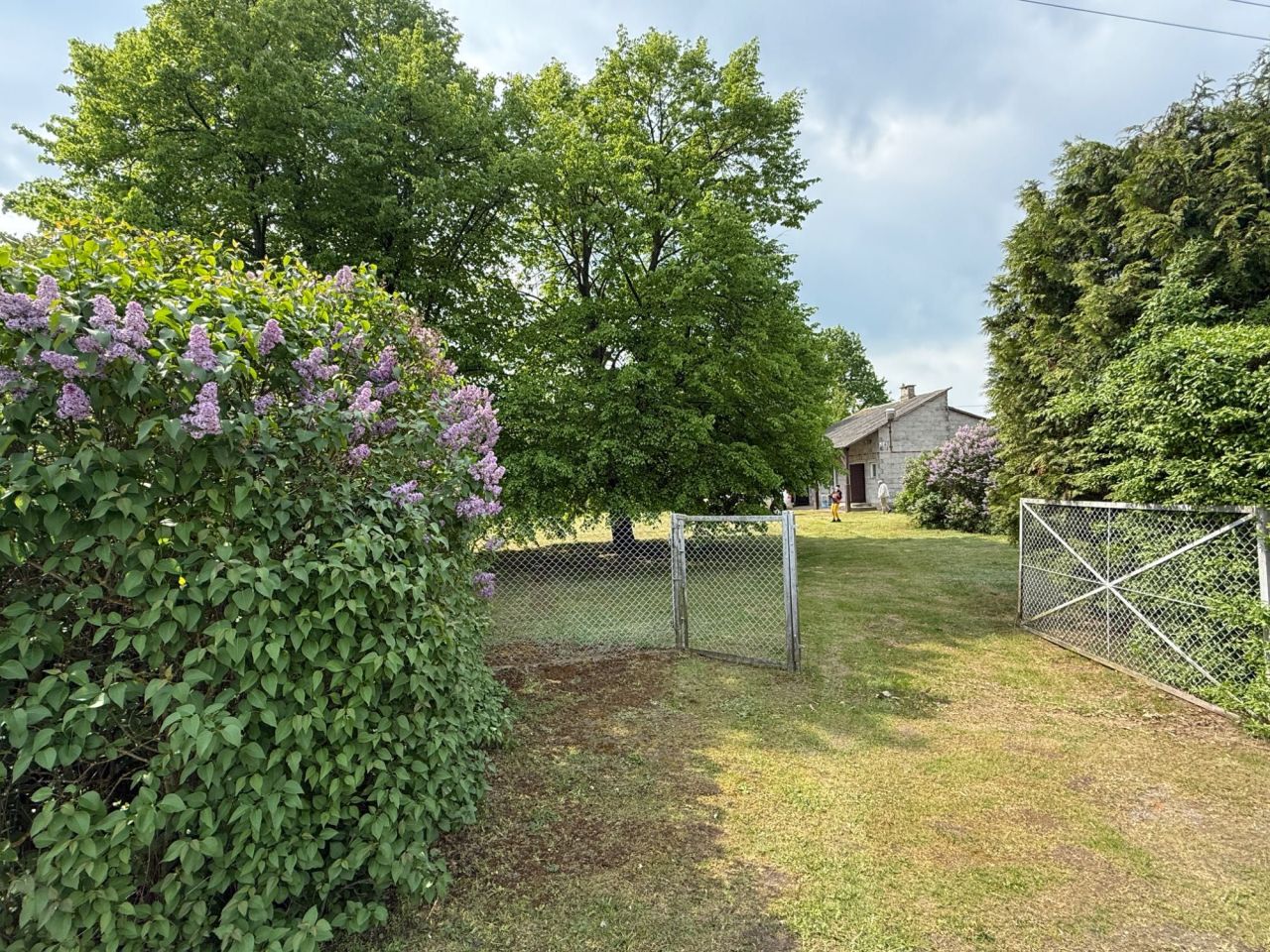 Działka rolno-budowlana Antosin. Zdjęcie 6