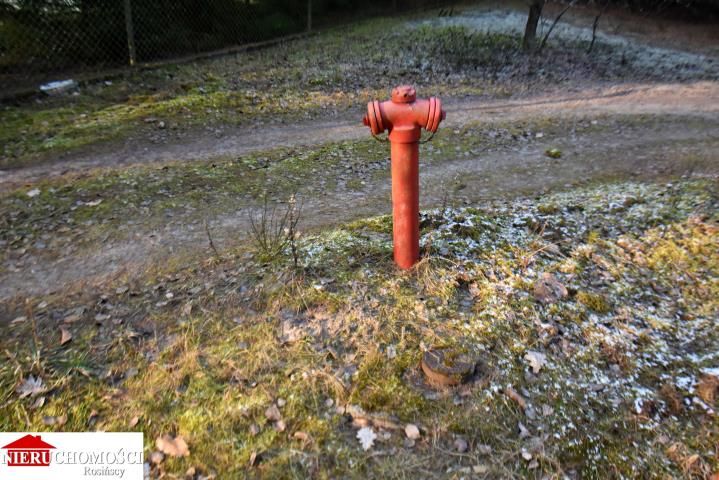 Działka leśna Stanisławów. Zdjęcie 6