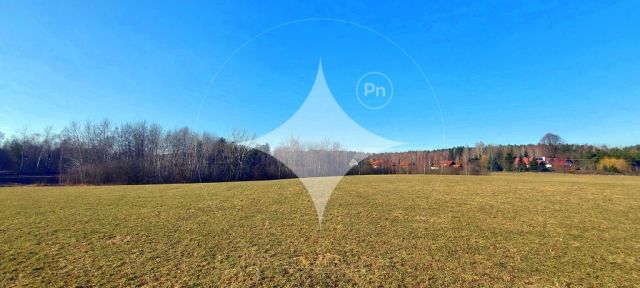 Działka rolna Marcinkowo. Zdjęcie 4