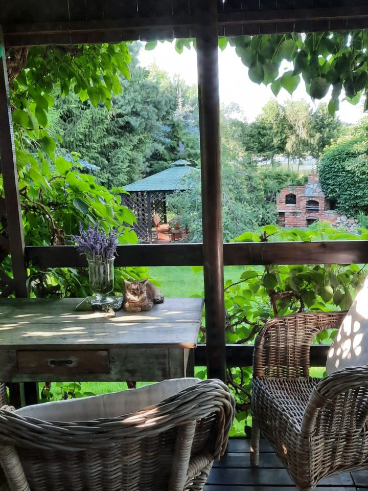 Działka rolno-budowlana Jerzyn. Zdjęcie 8