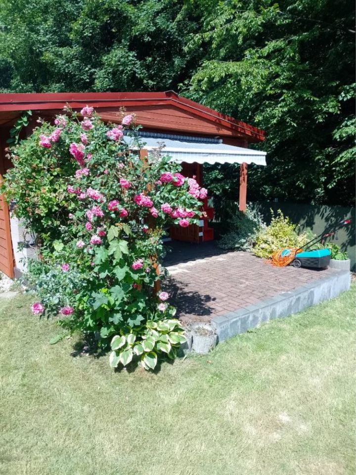 Działka rod Nowy Sącz Falkowa. Zdjęcie 6