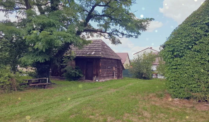 Działka siedliskowa Pakuły Górka, Pakuły