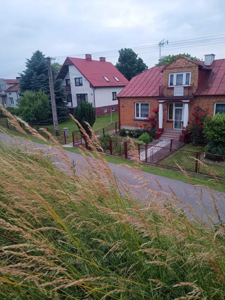 gospodarstwo Regów Stary. Zdjęcie 4