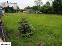 Działka budowlana Małkowice, ul. Szkolna. Zdjęcie 1
