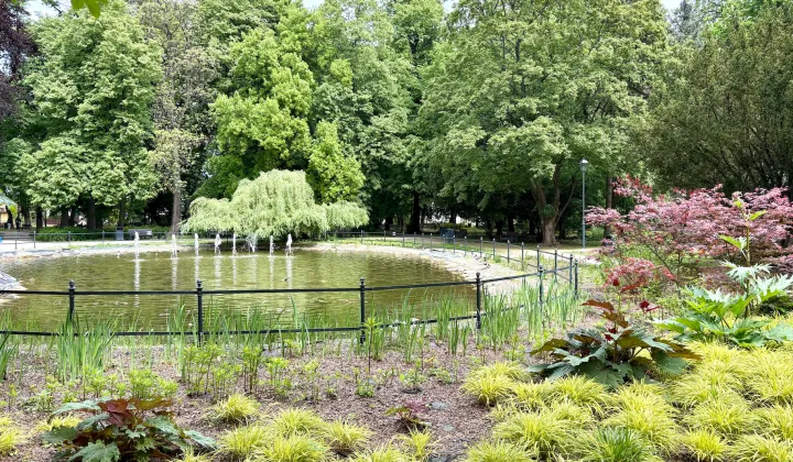 Mieszkanie 2-pokojowe Rzeszów, ul. Zofii Chrzanowskiej
