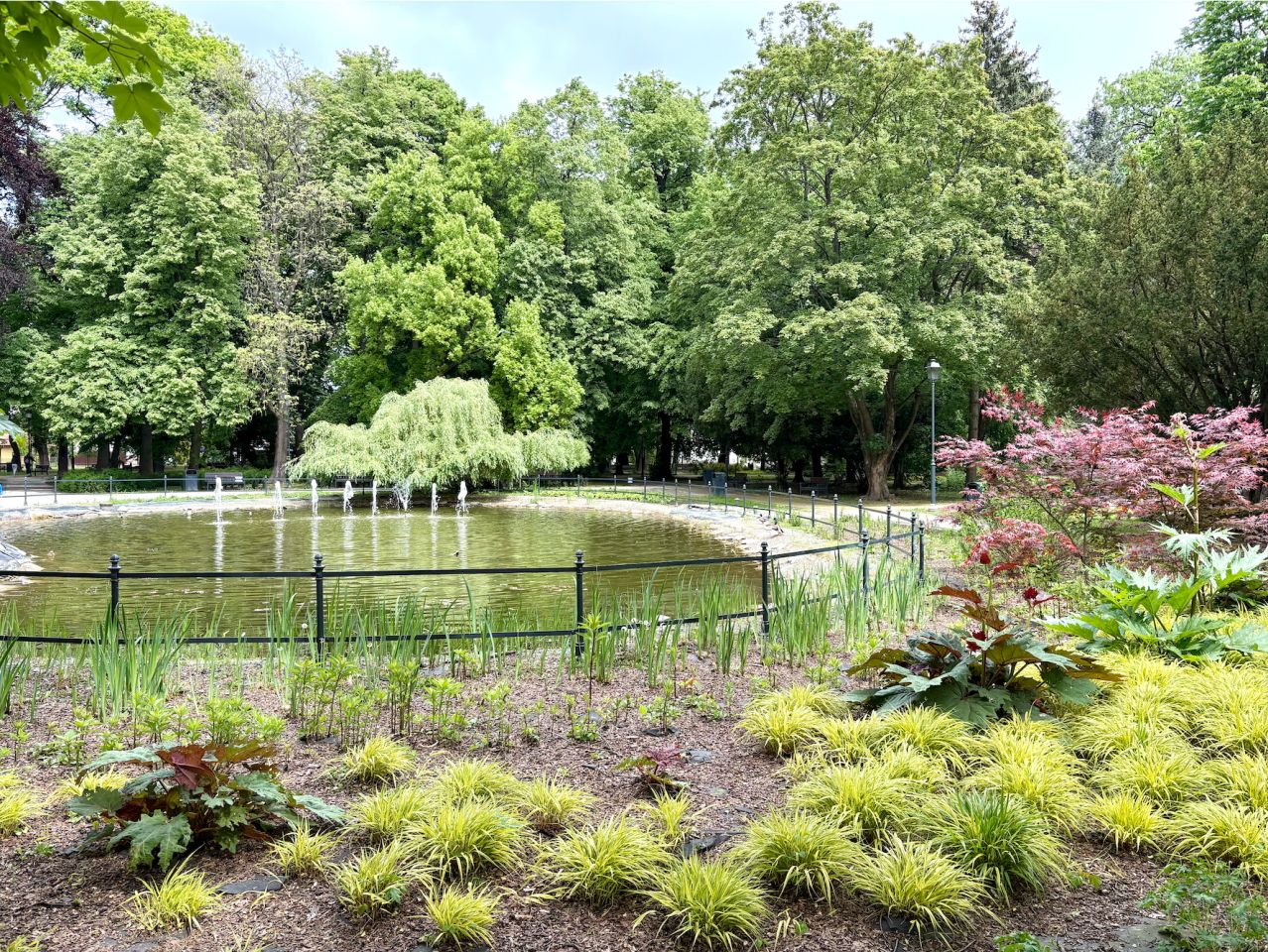 Mieszkanie 2-pokojowe Rzeszów, ul. Zofii Chrzanowskiej