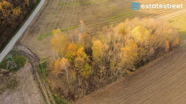 Działka rolna Wybrzeże. Zdjęcie 4