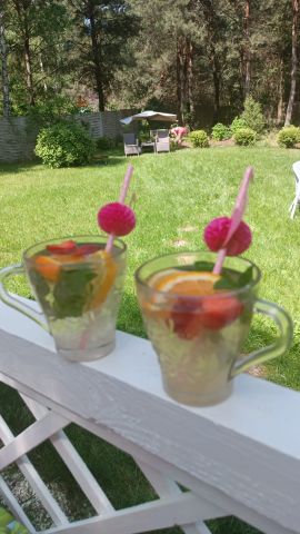 Działka rekreacyjna Kępiaste. Zdjęcie 9