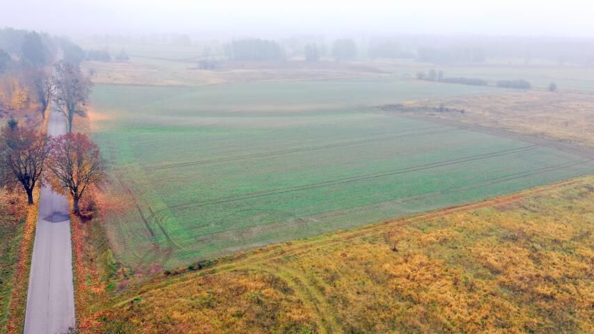Działka rolna Dziubiele. Zdjęcie 2