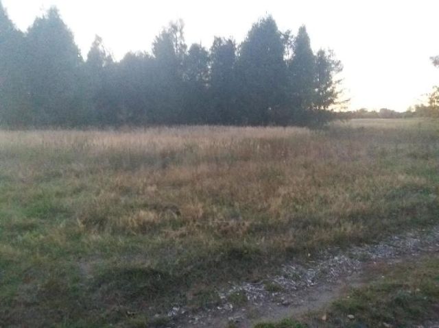 Działka rolna Jaglisko. Zdjęcie 1