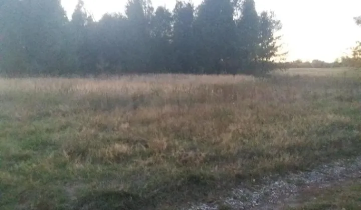 Działka rolna Jaglisko