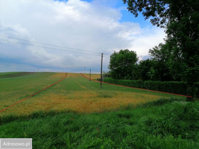 Działka rolno-budowlana Prandocin-Wysiołek. Zdjęcie 1