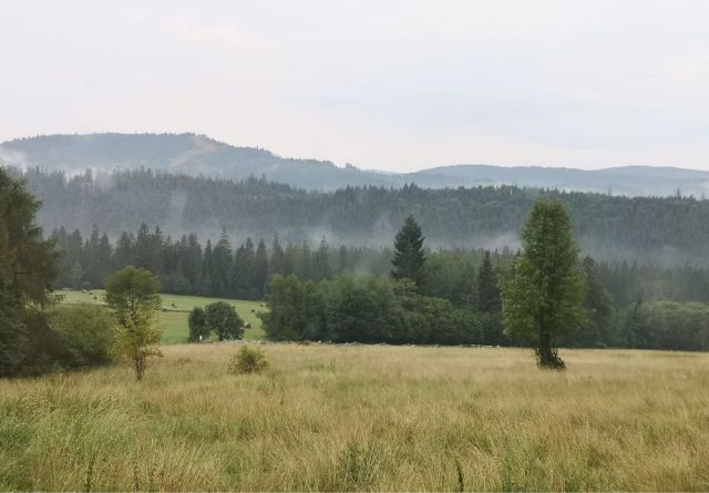 Działka budowlana Koniaków. Zdjęcie 1