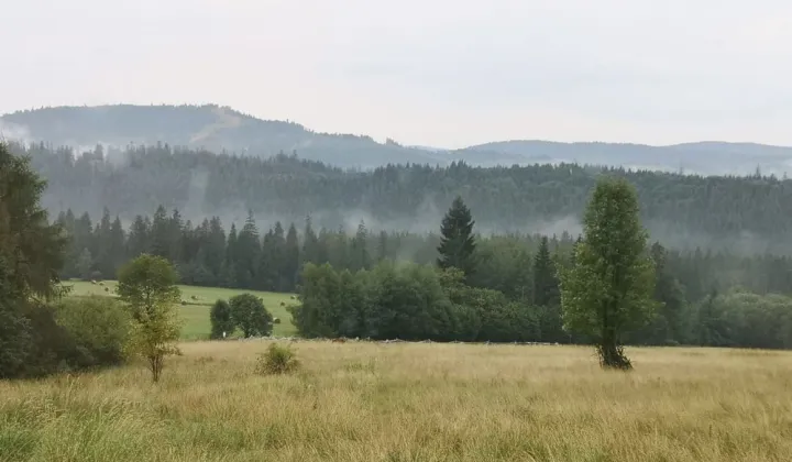 Działka budowlana Koniaków