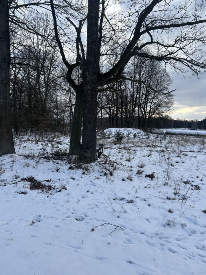 Działka budowlana Ługi. Zdjęcie 7