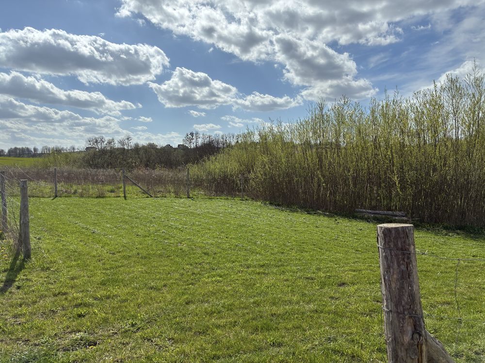 Działka rolna Muntowo. Zdjęcie 8