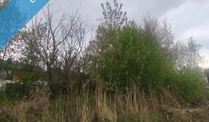 Działka Sosnowiec Kazimierz, ul. Wopistów