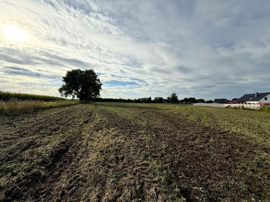 Działka budowlana Kanclerzowice. Zdjęcie 2