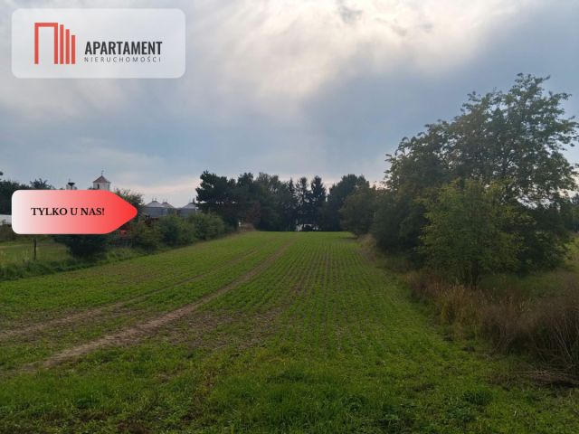 Działka inwestycyjna Brzeg Dolny, ul. Nasypowa. Zdjęcie 3