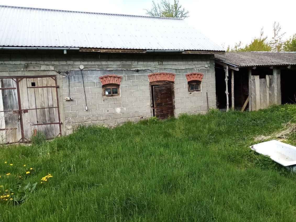 Działka rolno-budowlana Kisielsk. Zdjęcie 5