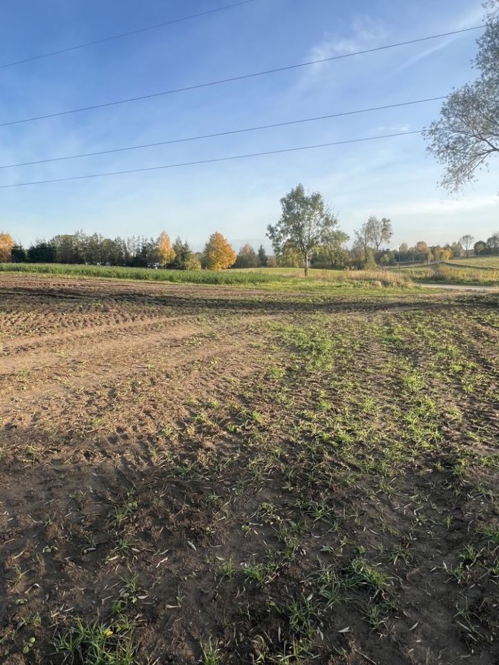 Działka budowlana Muntowo. Zdjęcie 3