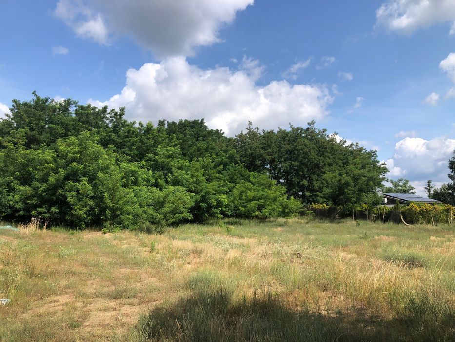 Działka budowlana Głodno. Zdjęcie 2