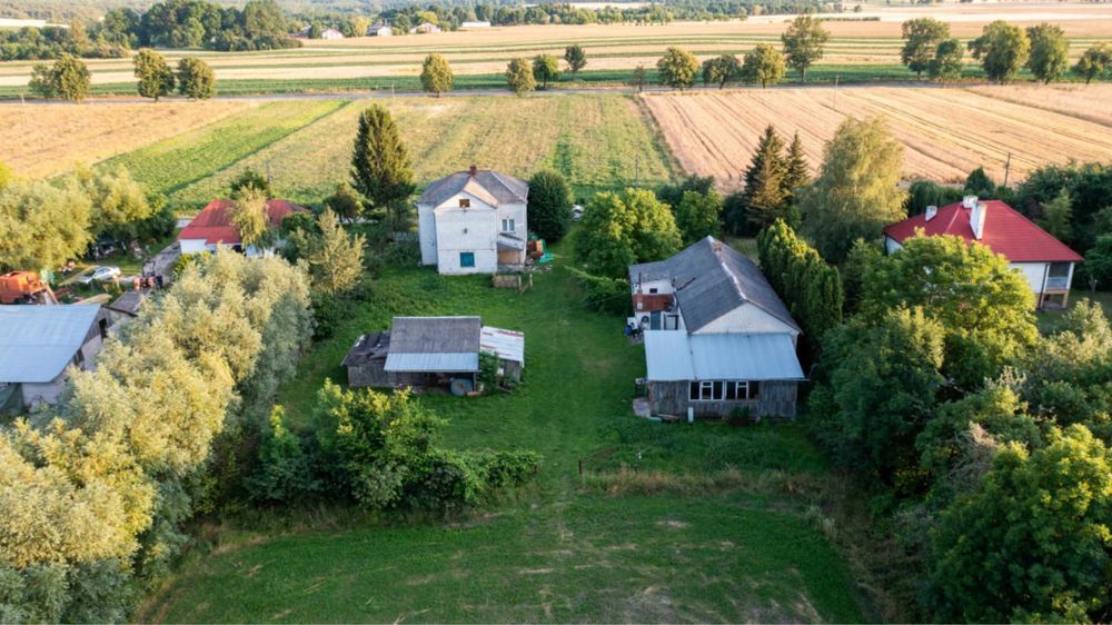 gospodarstwo Kumów Majoracki. Zdjęcie 2