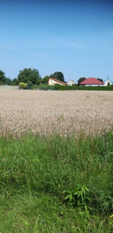 Działka budowlana Smardzów. Zdjęcie 1