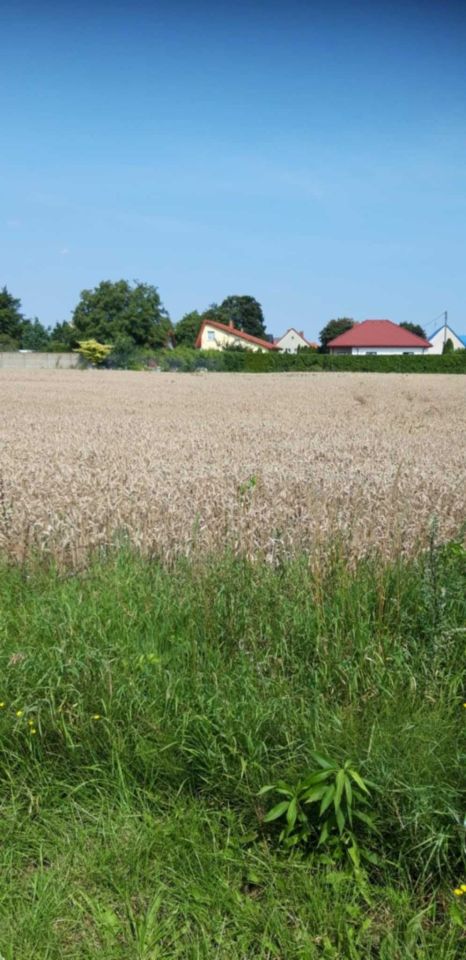 Działka budowlana Smardzów