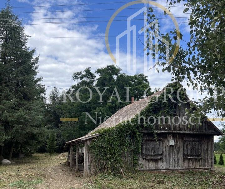 Działka siedliskowa Gołąb. Zdjęcie 5