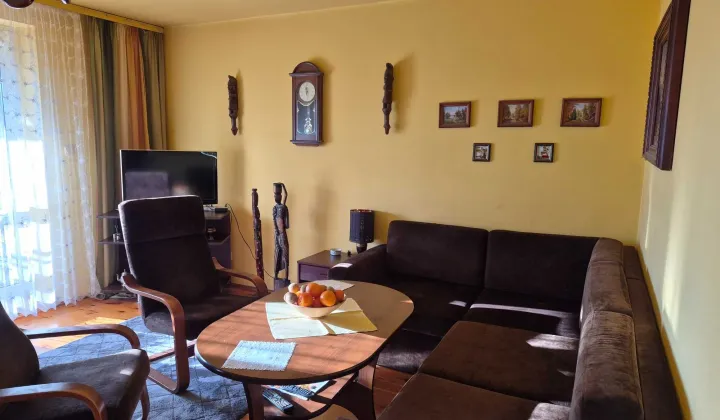 dom szeregowy Bielice