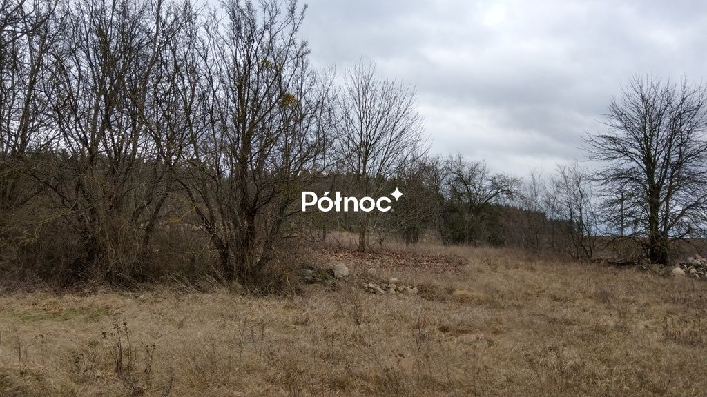 Działka inwestycyjna Jeżewo Stare. Zdjęcie 14