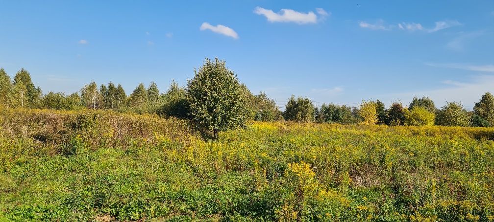 Działka budowlana Gołaszyn. Zdjęcie 3