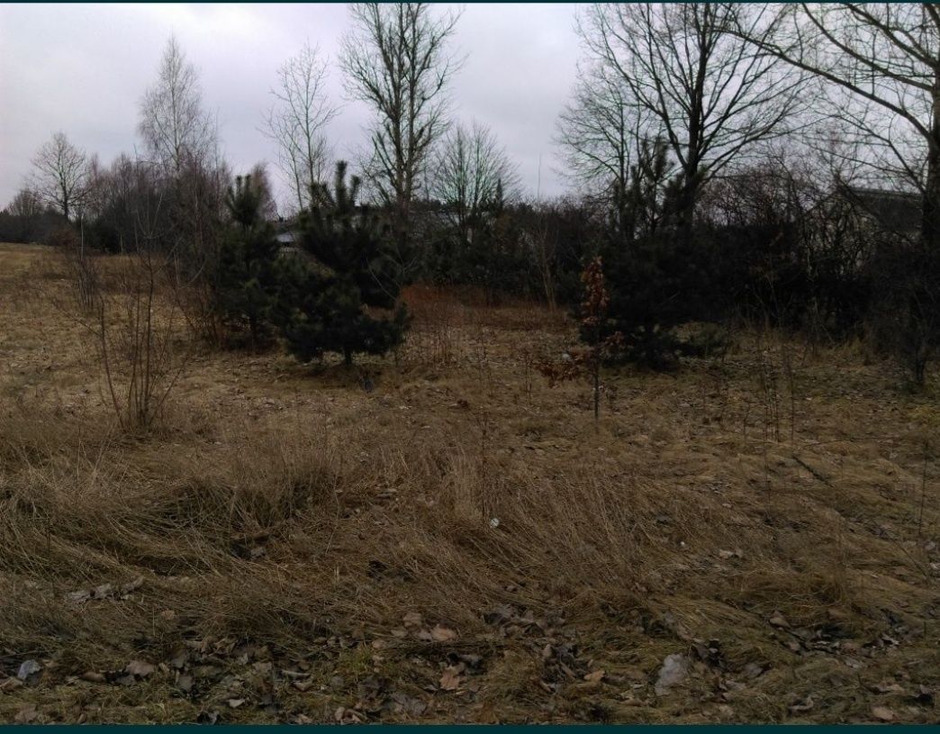 Działka inwestycyjna Gręzów. Zdjęcie 3