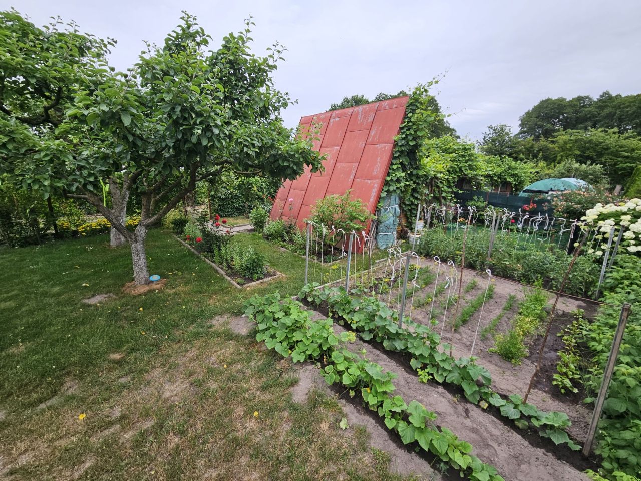 Działka rekreacyjna Przasnysz, ul. Żwirki i Wigury