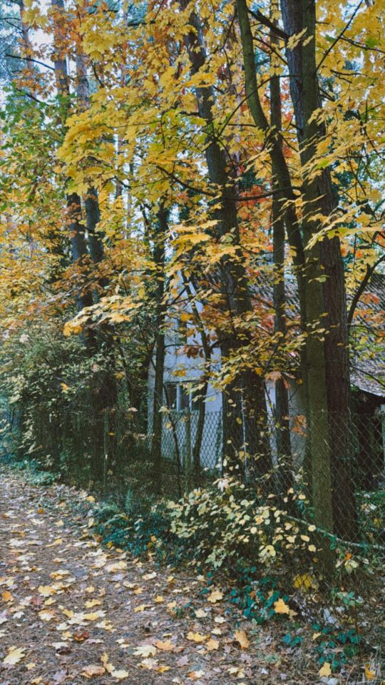 siedlisko, 3 pokoje Osieck. Zdjęcie 3