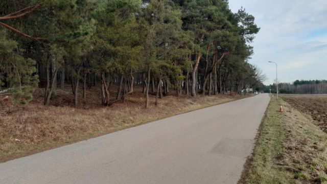 Działka budowlana Skrzeszew, ul. Partyzantów. Zdjęcie 1