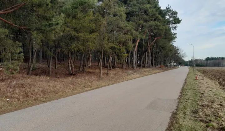 Działka budowlana Skrzeszew, ul. Partyzantów