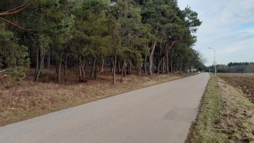 Działka budowlana Skrzeszew, ul. Partyzantów