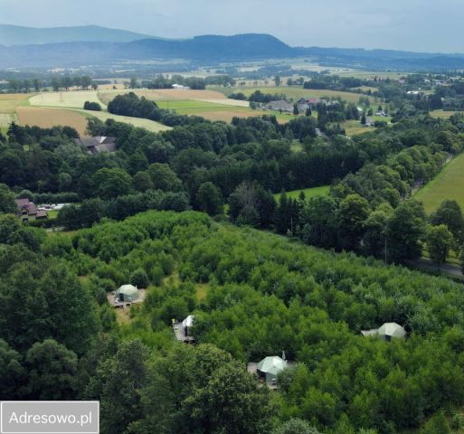 Działka budowlana Międzylesie. Zdjęcie 1