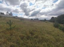 Działka rolno-budowlana Łowicz Wałecki. Zdjęcie 4