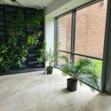 Mieszkanie 2-pokojowe Olsztyn Śródmieście, ul. Grunwaldzka 14a. Zdjęcie 4