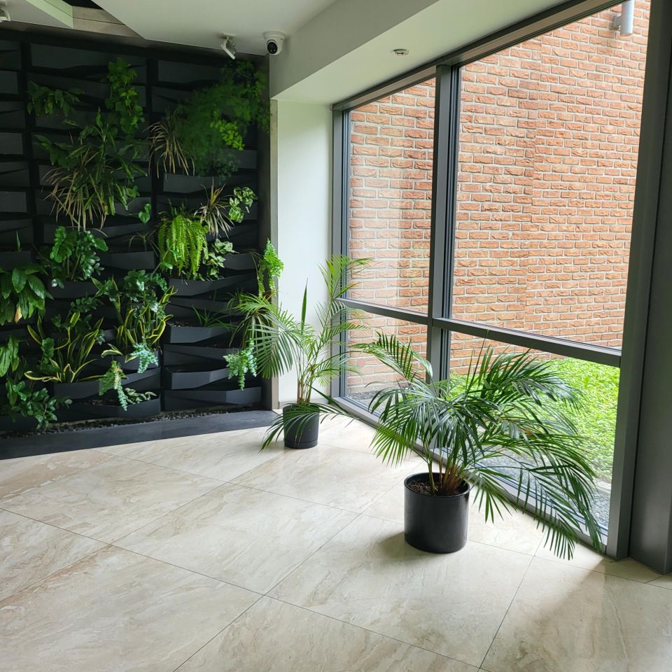 Mieszkanie 2-pokojowe Olsztyn Śródmieście, ul. Grunwaldzka. Zdjęcie 5