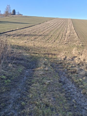 Działka budowlana Kozierów, ul. Lipowa. Zdjęcie 7