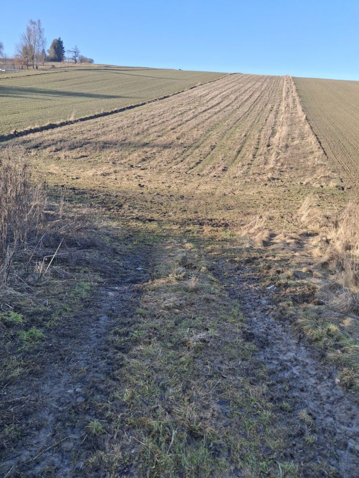 Działka budowlana Kozierów, ul. Lipowa. Zdjęcie 7