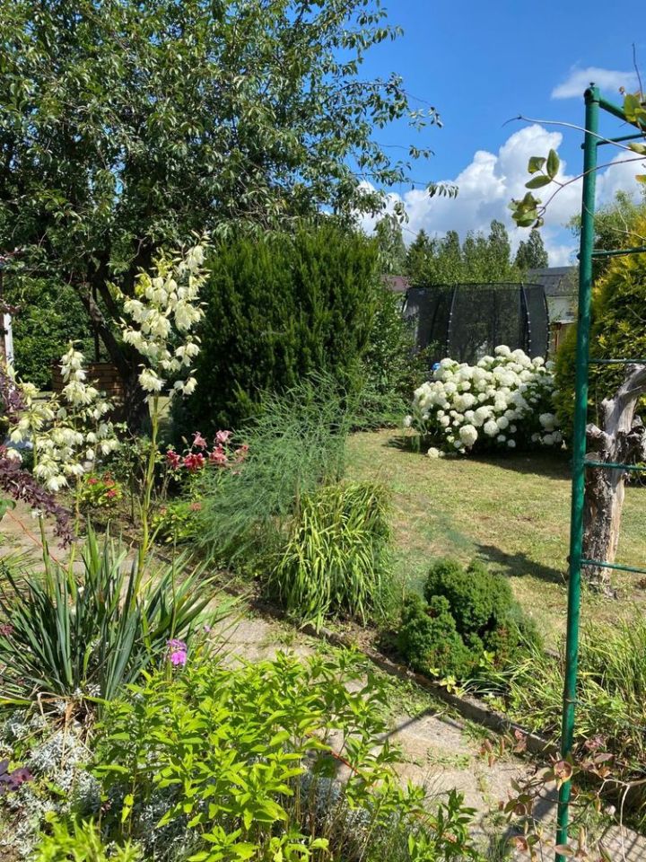 Działka rod Tczew. Zdjęcie 5