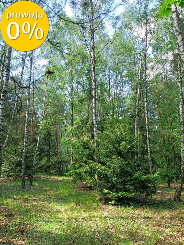 dom wolnostojący, 6 pokoi Jaroszki. Zdjęcie 28