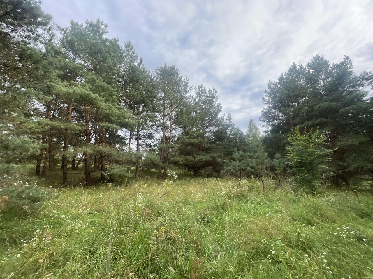 Działka budowlana Małszewo, Małszewo. Zdjęcie 12