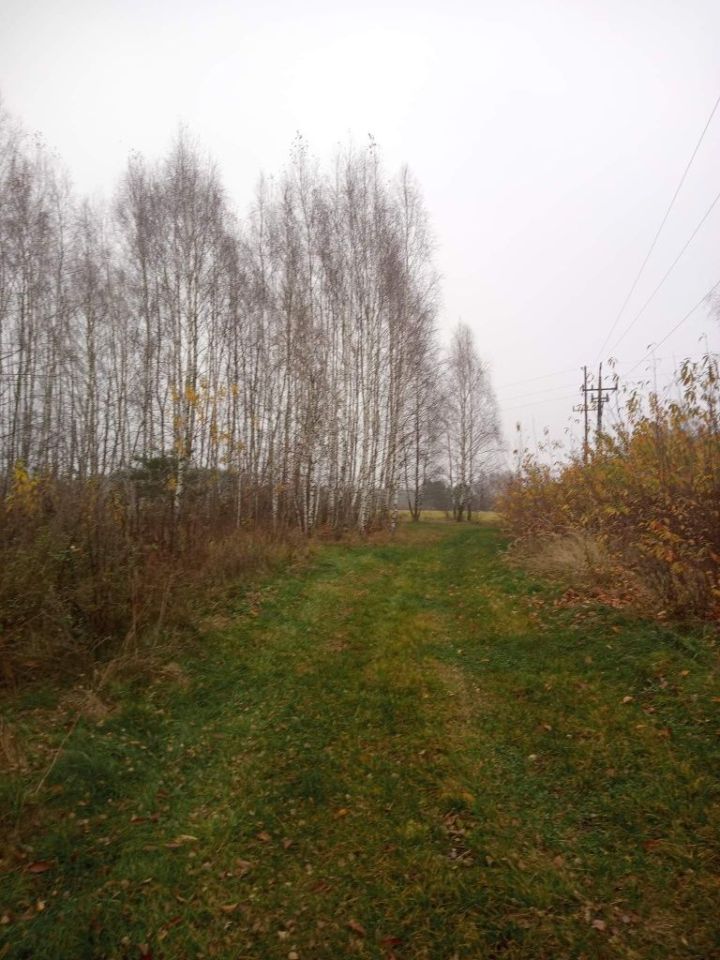 Działka rolno-budowlana Sworzyce. Zdjęcie 13